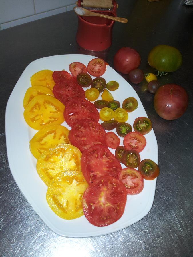 Mas Figueres Villa Marsá Екстериор снимка